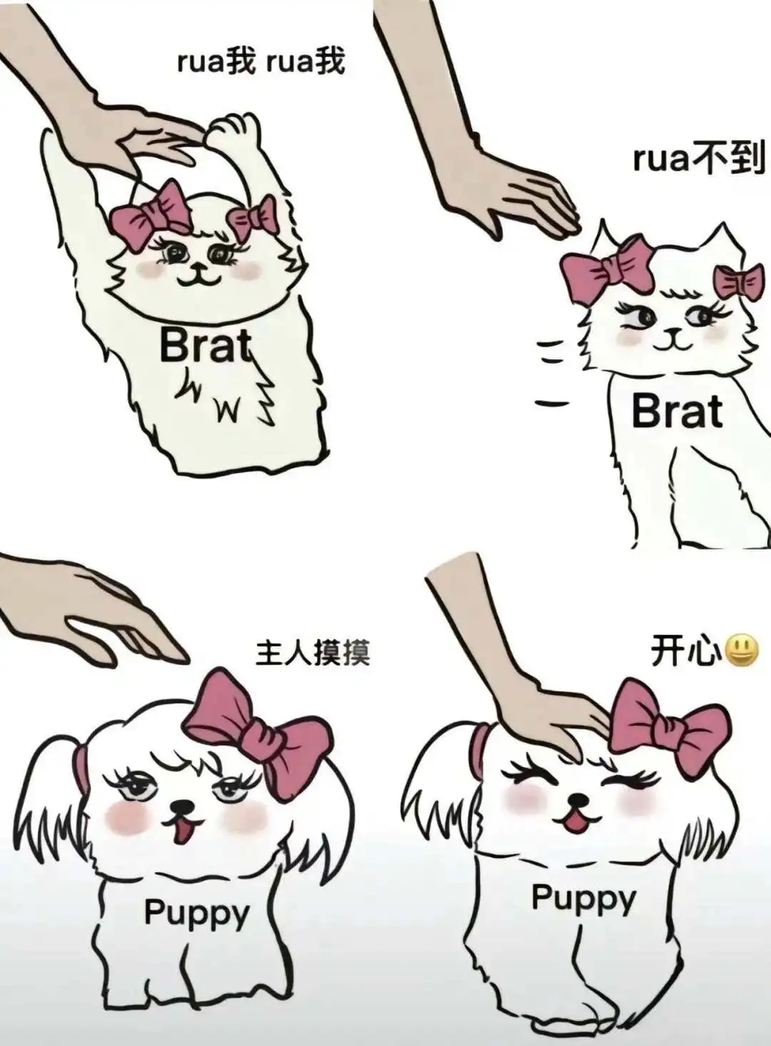 【西檬之家】字母圈的aftercare：SSC原则下的必要闭环