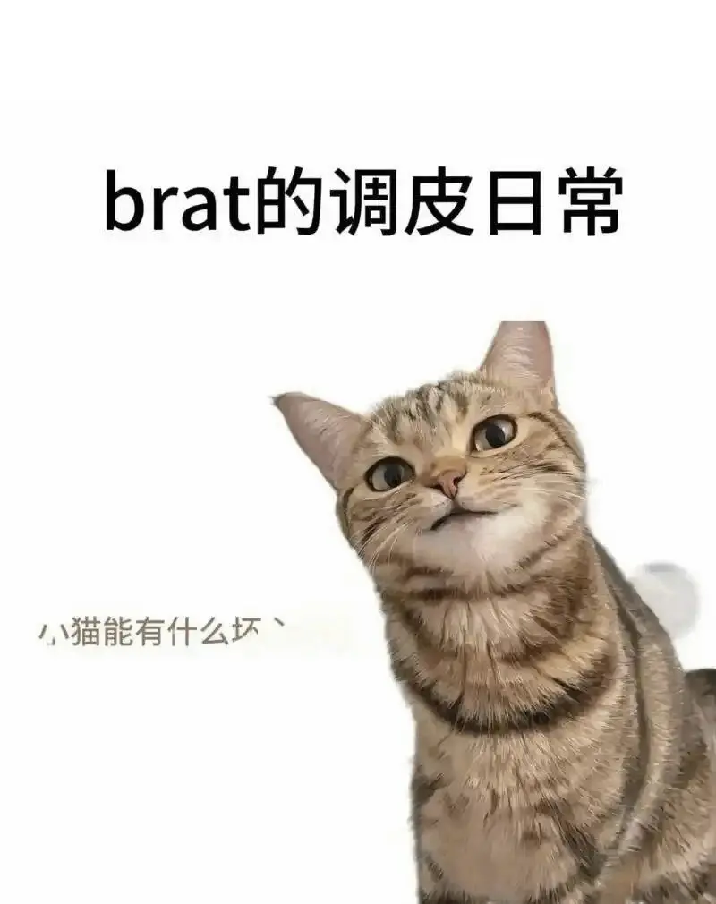 西檬之家-字母圈新人入圈指南：从基础术语到安全实践