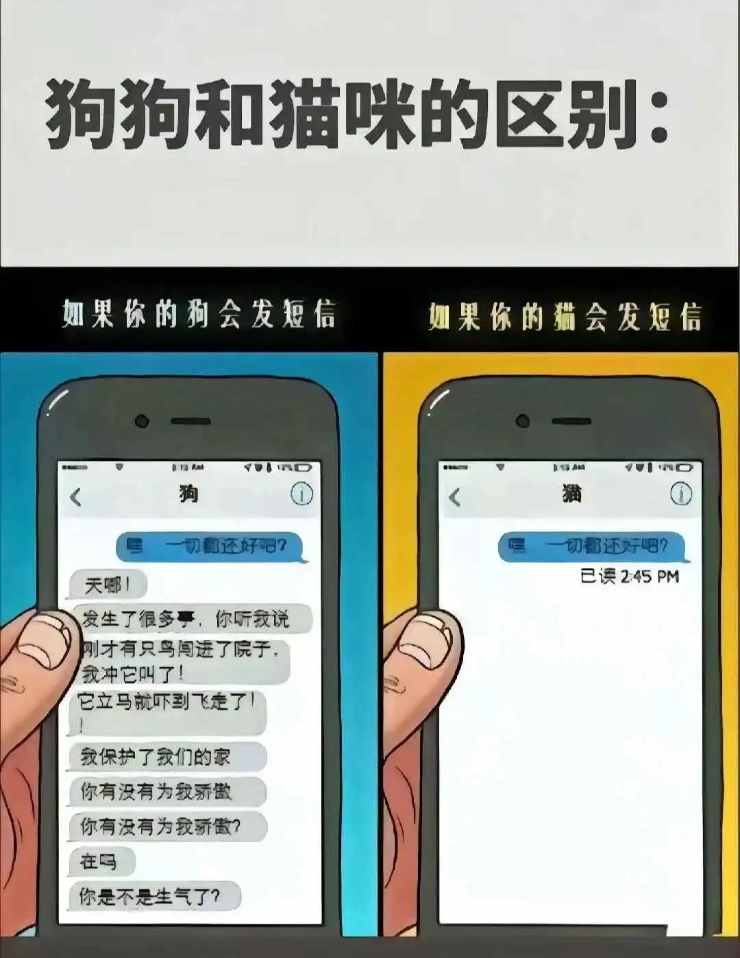 西檬之家-字母圈的Dom是什么意思？
