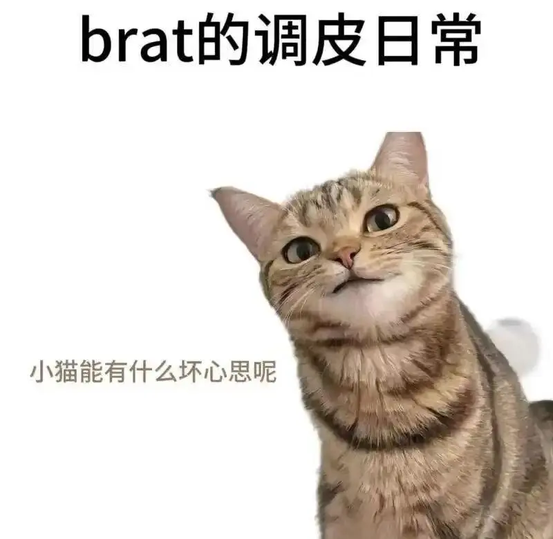 西檬之家-BDSM新手必读：核心术语与安全指南