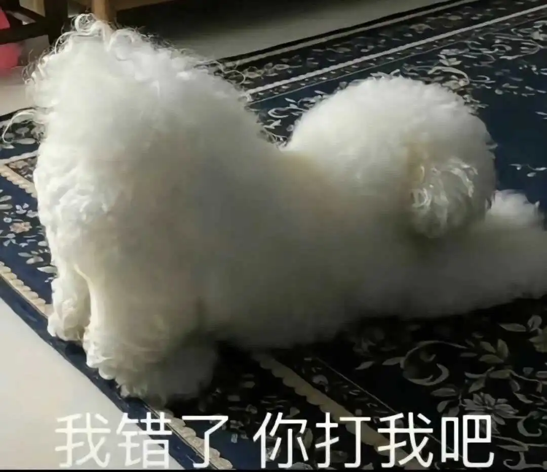 Dirty talk是什么 - 2023_12_05_21_26_IMG_9543