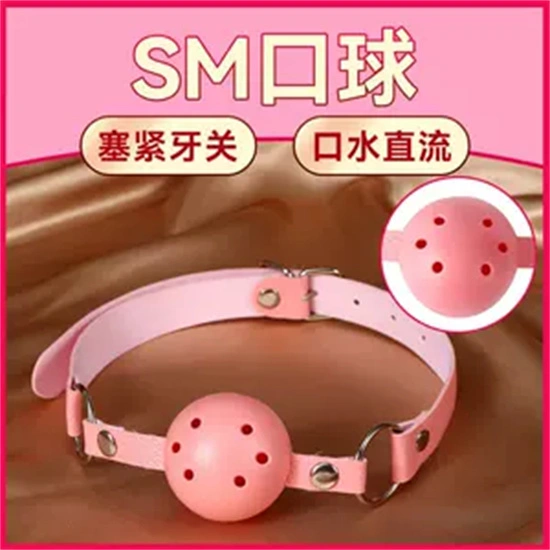 【西檬之家】S倾向：解析字母圈支配者与SSC安全原则