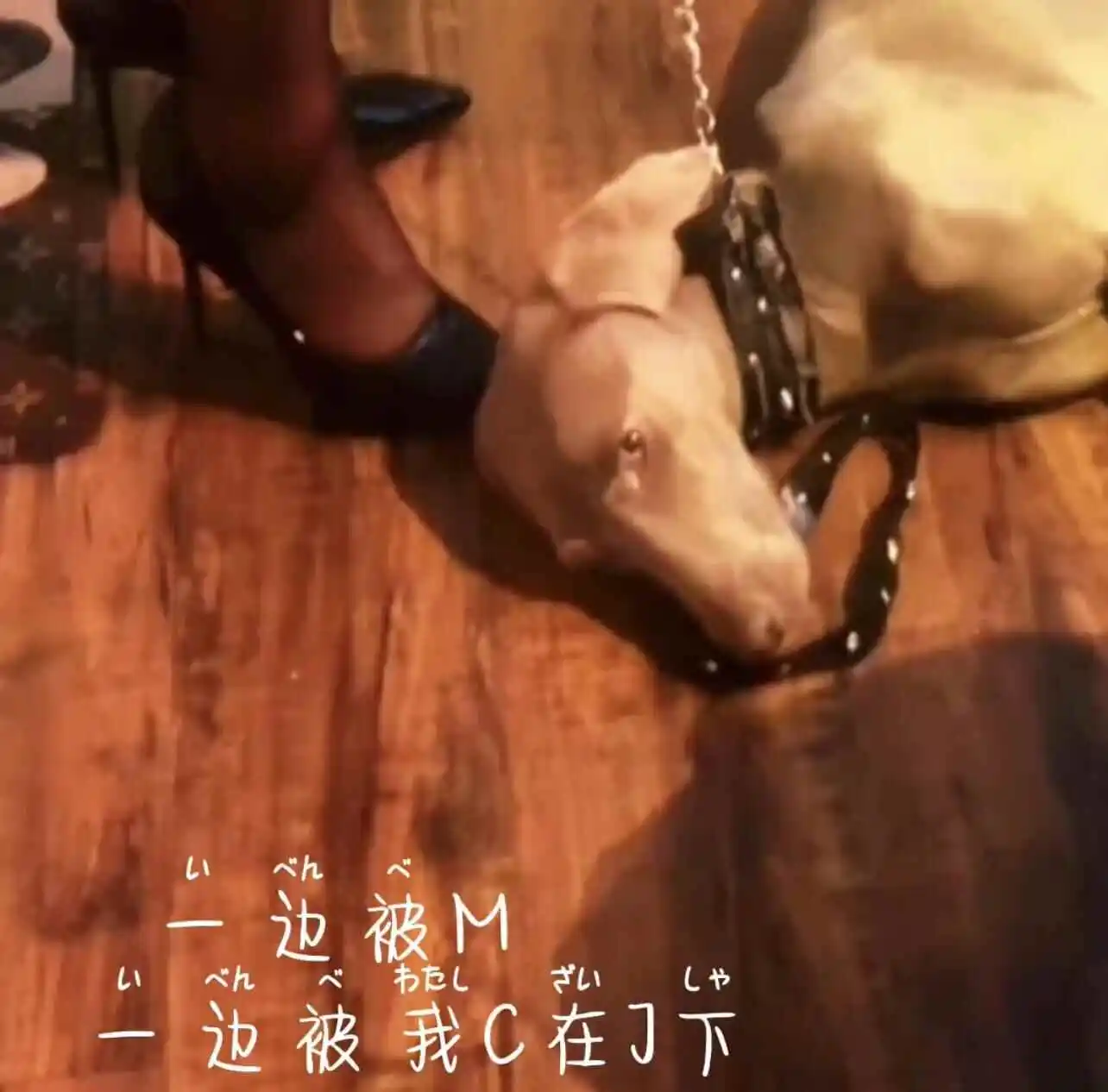 【西檬之家】字母圈新人必看：BDSM中的DS关系全解析