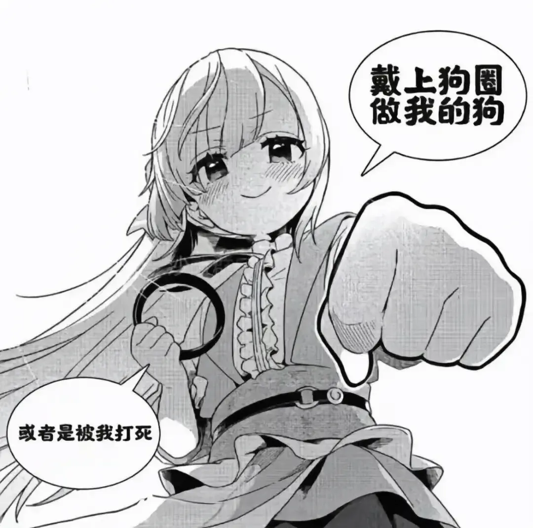 PE：实用指南