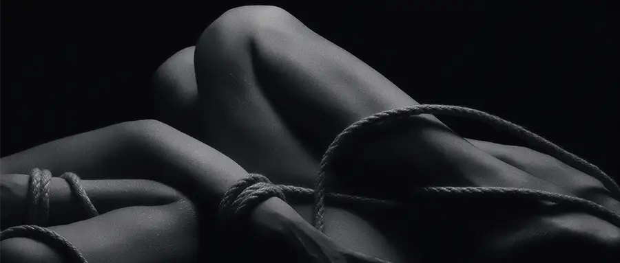 S倾向 - 2025-11-13 234426