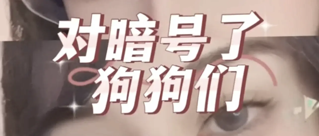 【西檬之家】OTK是什么？字母圈新人入圈必知的SP基础姿势