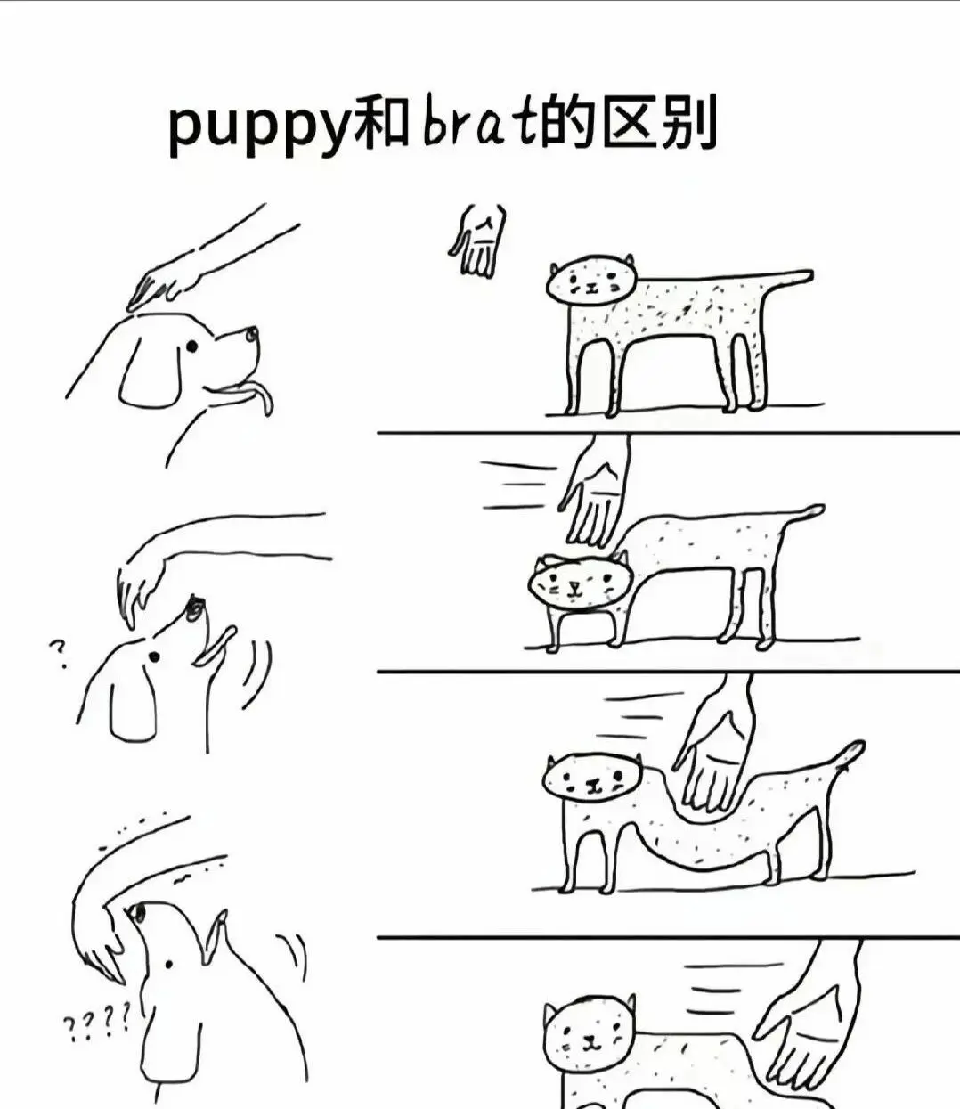 SM亚文化 - 微信图片_2025-11-13_180940_765
